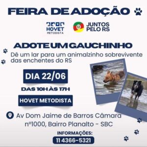 Adote um Gauchinho