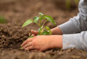 Centro Universitário promove conscientização e inovação sustentável