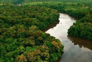 Congresso internacional em Manaus debate conexões entre saúde e biodiversidade na Amazônia