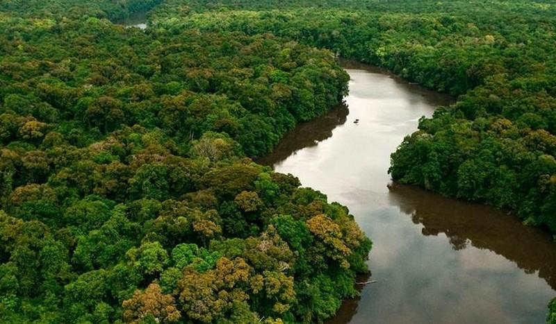 Congresso internacional em Manaus debate conexões entre saúde e biodiversidade na Amazônia