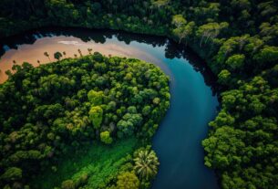 Internet na Amazônia: Seminário do Comitê Gestor discute conectividade sustentável na região